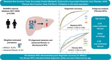 Steatosis non-invasive tests accurately predict metabolic dysfunction-associated steatotic liver disease, while fibrosis non-invasive tests fall short: Validation in U.S. adult population