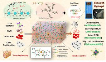 Chemically engineered multifunctional hydrogel for potential use in biomedical applications: A report on synthesis, physicochemical characterizations, and in vitro evaluation