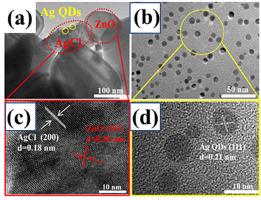 Preparation of dendritic ZnO/Ag-QDs/AgCl photocatalysts and its photodegradation of organic dyes and antibiotics