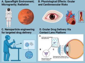 Advanced ocular drug delivery in microgravity: Nanotherapeutic applications as cardiovascular and ophthalmic countermeasures