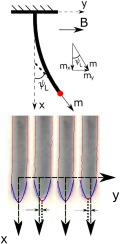 Magnetic torque-based method for quantifying the flexural rigidity of microfibers
