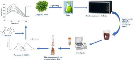 Novel and Ultra-sensitive Harnessing of Native Fluorescence and Bio-Inspired N, S-CQDs: A Greener Path to Pharmaceutical and Biological Analysis of Moexipril with Enhanced Sustainability Profiles