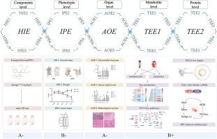 Investigating podophyllotoxin-induced cardiotoxicity in rats by Toxicological Evidence Chain (TEC): Focus on the Akt1/Srebp-1c/PUFAs axis