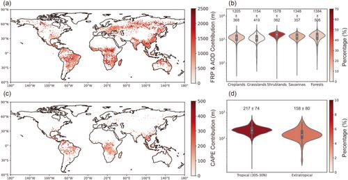 Atmospheric Convection and Aerosol Absorption Boost Wildfire Smoke Injection