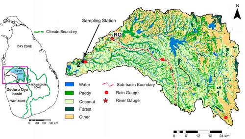 Implications for the Missing South Asian Carbon Sink: Hydrologic Coupling of Water and Carbon Balances in a Tropical Catchment