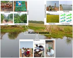 Trade-offs in ecosystem services of a Ramsar wetland due to conversion into aquaculture ponds in the coastal region of Indian peninsula
