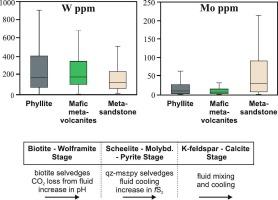 Lithological control on the distribution of ores in W-Mo porphyry systems: An example from the Ochtiná-Rochovce deposit (Western Carpathians, Slovakia)