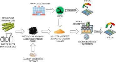 Environmentally-friendly activated carbon for the removal of antibiotic-resistant bacteria removal from hospital wastewater