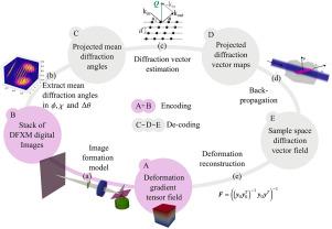 Towards interfacing dark-field X-ray microscopy to dislocation dynamics modeling