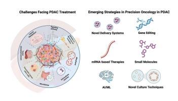 Overcoming therapy resistance in pancreatic cancer: challenges and emerging strategies
