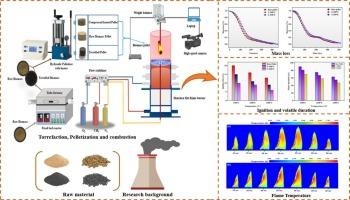 Comparative analysis of combustion behavior of raw and torrefied biomass pellets in a customized high-temperature flat flame furnace