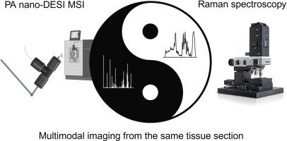 Multimodal mass spectrometry - Raman imaging reveals solvent dependent structural and chemical tissue alterations