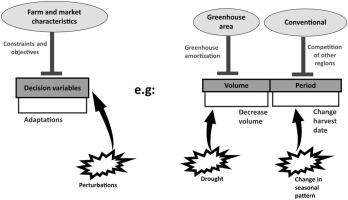 Diversity of production planning adaptations of farmers in vegetable long supply chains