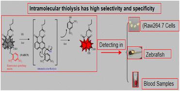 An effective fluorescent sensor for lipopolysaccharide-induced H2S detection and imaging in inflammatory cells, zebrafish, and mouse blood samples†