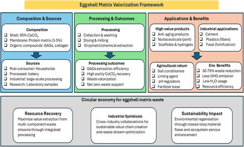 Upcycling Eggshell Matrix for Sustainable Production of Glycosaminoglycans