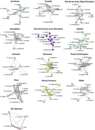 Using Smartphones to Determine Hummingbird Dominance Networks in Quinde Ecotourist-Route, Ecuador