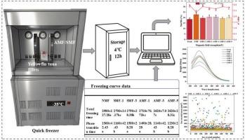 Impact of varying magnetic field conditions on the microstructure and quality of yellowfin tuna during assisted re-freezing