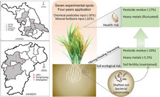 Investigation and insights into the technical strategies for reducing agrochemical inputs in rice farming to enhance agroecosystem resilience and food safety, A case study in China