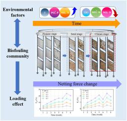 Biofilm community structure and loading effect of netted cages for offshore aquaculture in the Western Yellow Sea