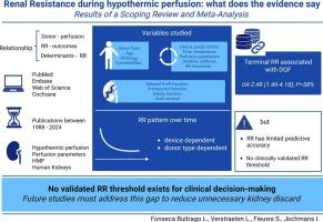 Renal resistance during hypothermic machine perfusion: A scoping review of variability and determinants, with a meta-analysis of predictive value for transplant outcomes