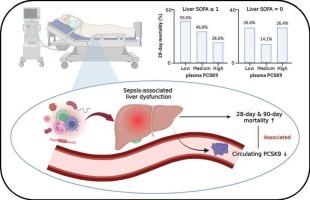 Sepsis-associated liver dysfunction confounds the association between circulating PCSK9 concentration and mortality in septic patients: A single-center retrospective cohort study