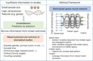 Joint modeling of mixed outcomes using a rank-based sparse neural network