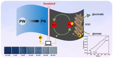 An integrated dual-signal self-powered flexible sensor based on ferrocene-mediated biofuel cell for glucose detection†