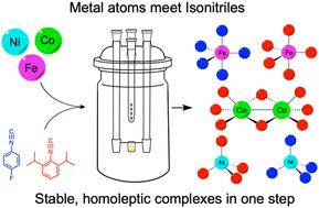 Metal atom chemistry as a direct pathway to access homoleptic mono- and dinuclear isonitrile compounds of the iron triad Fe, Co, and Ni†