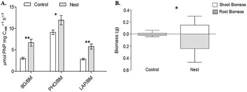 Afterlife effects of invasive wasp nests on ecosystem functioning