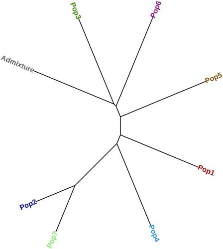 Population structure and genetic diversity of Brachiaria grass (Urochloa spp.) accessions from the Democratic Republic of Congo using DArTseq single nucleotide polymorphism markers
