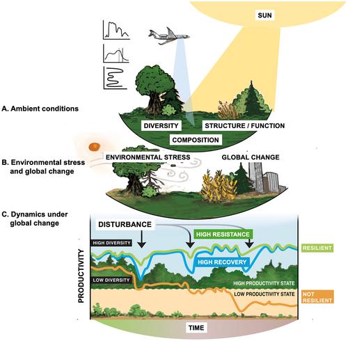Spectral biology across scales in changing environments