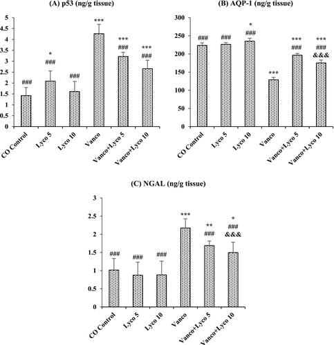 Antioxidant, Antiinflammatory and Antiapoptotic Effects of Lycopene in Rats With Vancomycin-Induced Nephrotoxicity