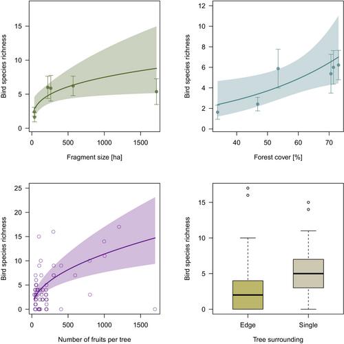 Rainforest Fragmentation Decreases the Robustness of Plant-Frugivore Interaction Networks