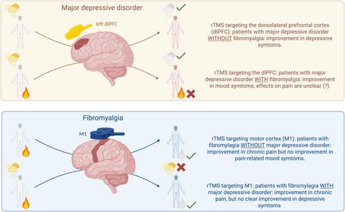 Differential Effects of Repetitive Transcranial Magnetic Stimulation on Mood and Pain Symptoms in People With Chronic Pain and Major Depressive Disorders—A Review