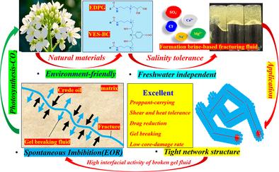 Development and Evaluation of Salt-Tolerant Green Surfactant-Based Multifunctional Fracturing Fluids Prepared by Formation Brine