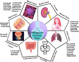 Progress in the synthesis and applications of FDA-approved anticancer drugs: Current trends and future perspectives