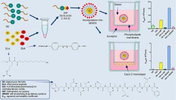 Peptide drug delivery: Permeation behaviour and intracellular fate of hydrophobic ion pairs in self-emulsifying drug delivery systems