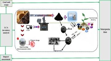 Optimization and life cycle assessment of cotton straw hydrothermal carbonization: a sustainable approach for enhanced saline-alkali soil remediation
