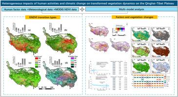 Heterogeneous impacts of human activities and climate change on transformed vegetation dynamics on the Qinghai-Tibet Plateau
