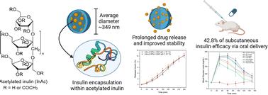 Engineered acetylated inulin nanoparticles for enhanced oral insulin delivery: sustained release, structural stability, and in vivo efficacy†