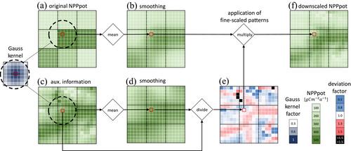 A Parsimonious Downscaling Method for Global Potential Net Primary Production: From 30 arcmin to 30 arcsec Resolution