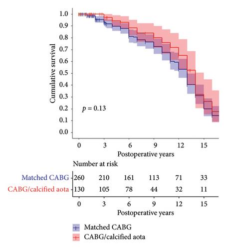 Hypothermic Low Flow Fibrillation for Unclampable Aorta in Coronary Artery Bypass Grafting: Alternative to Off-Pump CABG