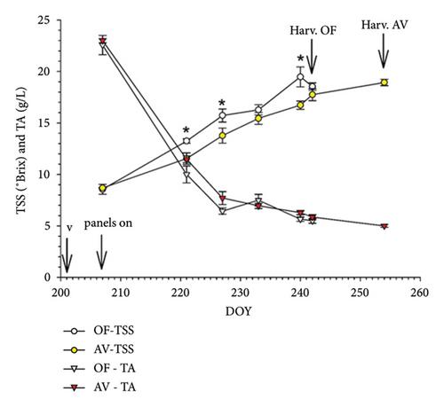 Vine Performance, Single-Leaf and Whole-Canopy Gas Exchange Under Agrivoltaics Cover in Malvasia di Candia Aromatica and Cabernet Sauvignon Grapevines