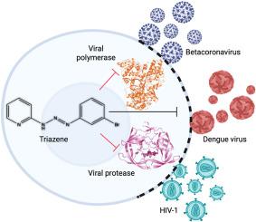 Triazenes as inhibitors of HIV-1 and HCoV-OC43: A structure-activity relationship study