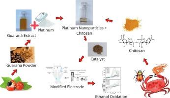 Exploring the electrochemical properties of platinum nanoparticles synthesized by green synthesis using Paullinia cupana extract
