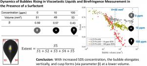 Dynamics of bubbles rising in viscoelastic liquids and birefringence measurement in the presence of a surfactant