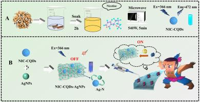 A novel “off-on” fluorescence probe based on the discarded cigarette butts-based carbon quantum dots and silver nanoparticles for iodide ions detection