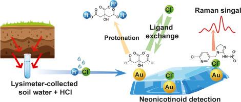 Enhanced ligand exchange for ultrasensitive neonicotinoid detection in soil water via surface-enhanced Raman spectroscopy