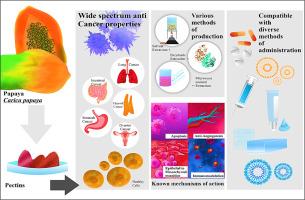 Therapeutic potential, formulation strategies and cancer treatment applications of ripe papaya pectin (Carica papaya L.): A comprehensive review