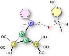 Directing protonation equilibrium and reduction in [Fe2(CO)6{μ-(SCH2)2(Ph)P=O] via tailored acid modulation